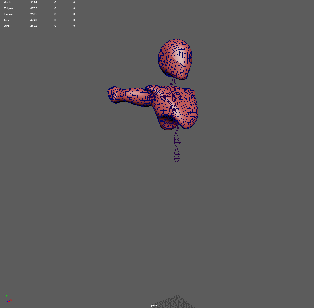 Extracted mesh section with preserved skeleton in Maya